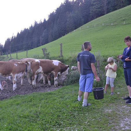 Appartamento Kiblerhof Russbach am Pass Gschütt Esterno foto