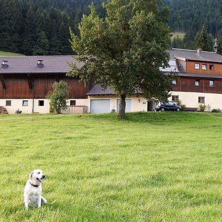 Appartamento Kiblerhof Russbach am Pass Gschütt Esterno foto