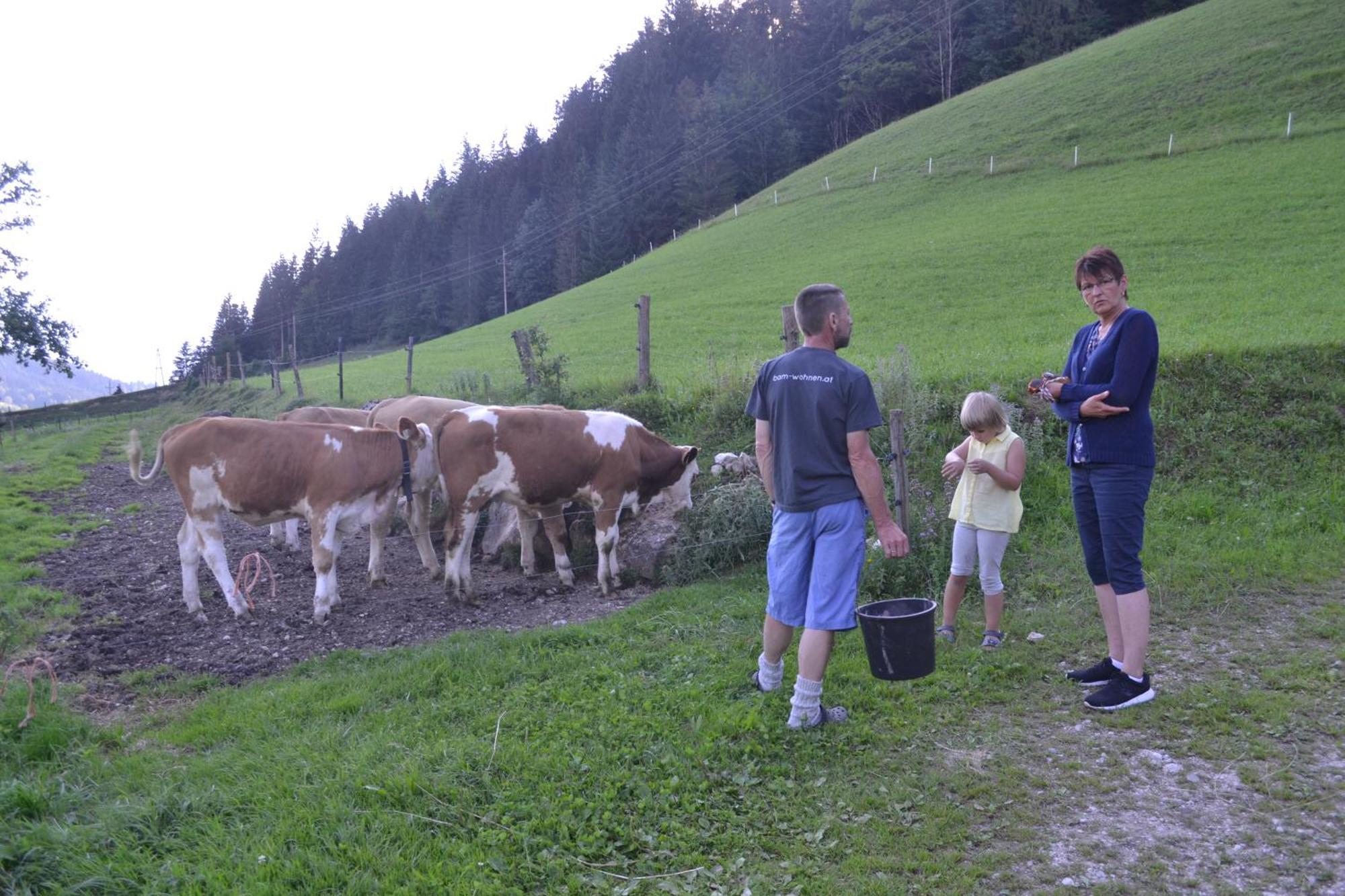 Appartamento Kiblerhof Russbach am Pass Gschütt Esterno foto