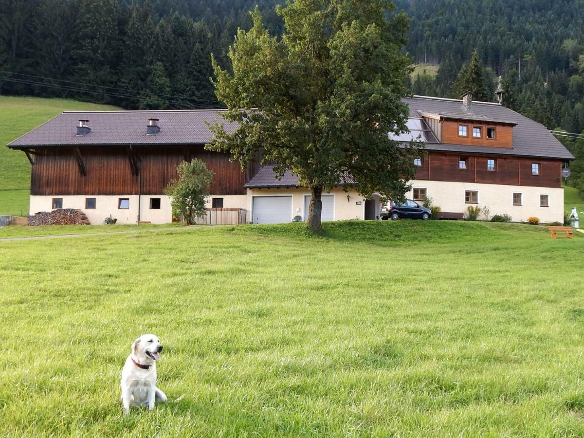 Appartamento Kiblerhof Russbach am Pass Gschütt Esterno foto