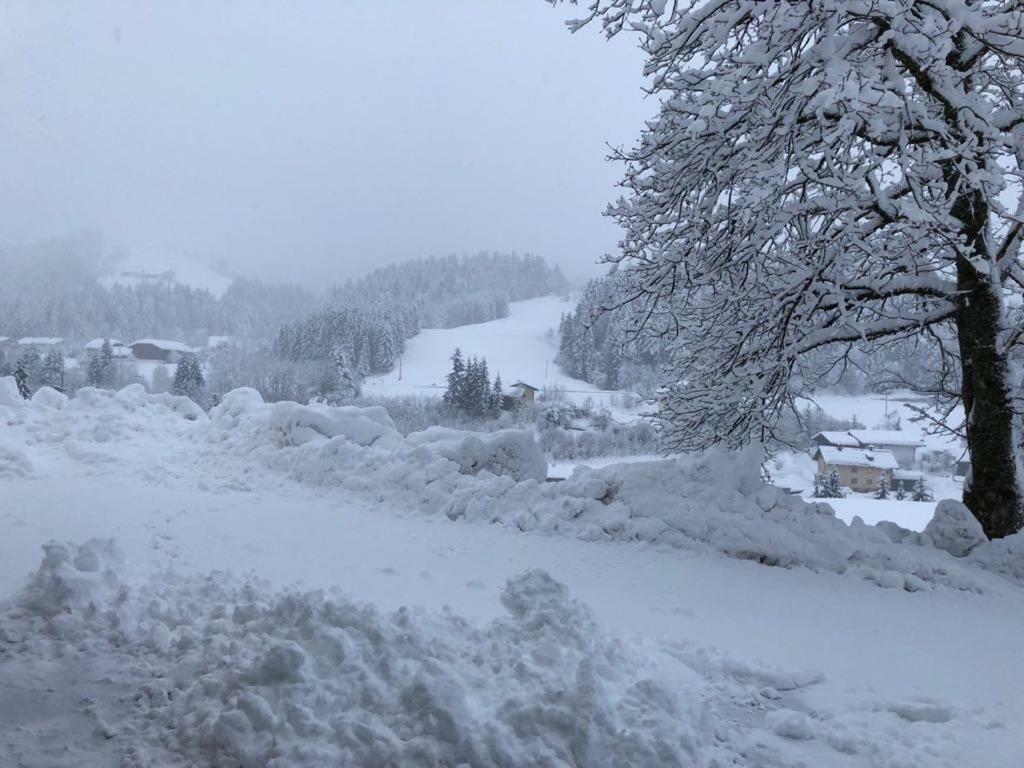 Appartamento Kiblerhof Russbach am Pass Gschütt Esterno foto