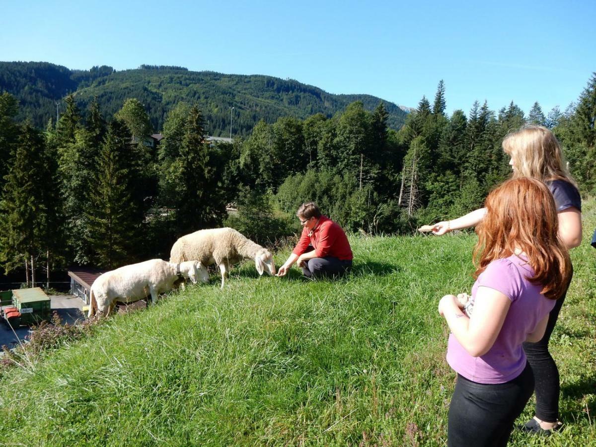 Appartamento Kiblerhof Russbach am Pass Gschütt Esterno foto