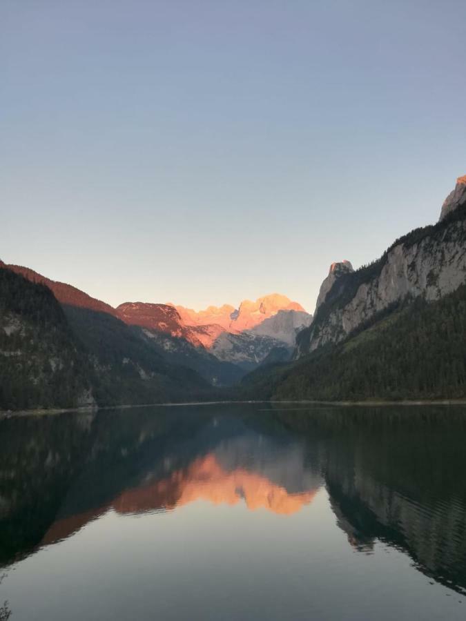 Appartamento Kiblerhof Russbach am Pass Gschütt Esterno foto