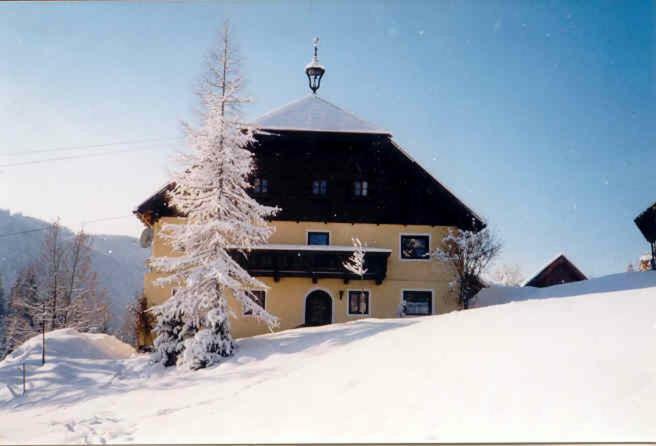 Appartamento Kiblerhof Russbach am Pass Gschütt Esterno foto